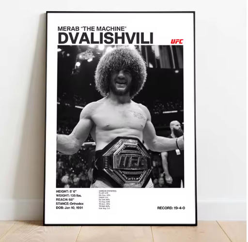 Posters de luchadores