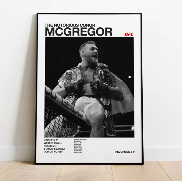 Posters de luchadores