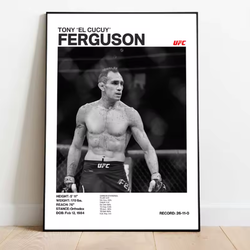 Posters de luchadores