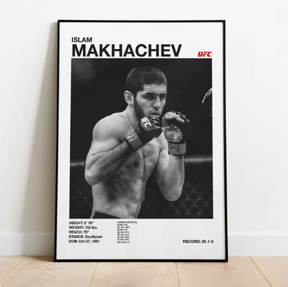 Posters de luchadores