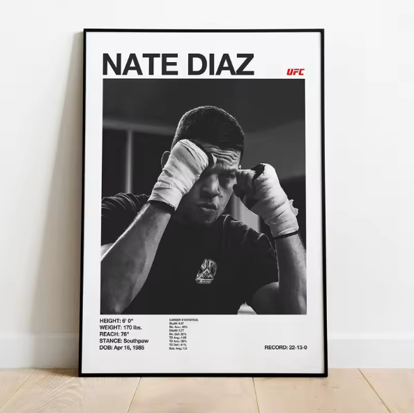 Posters de luchadores