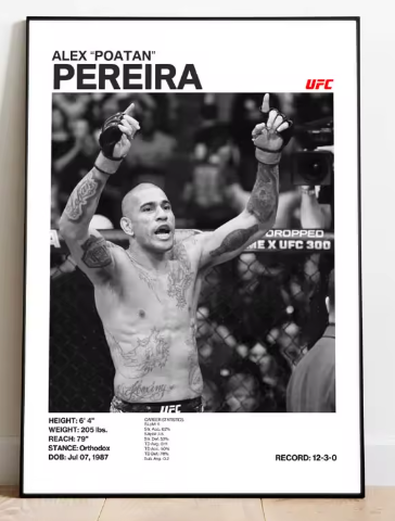 Posters de luchadores