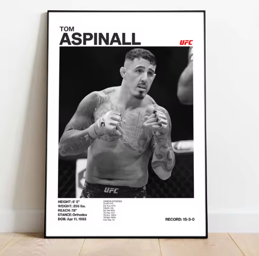 Posters de luchadores